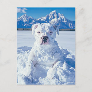 Postal Navidades Pitbull Dog Snowman