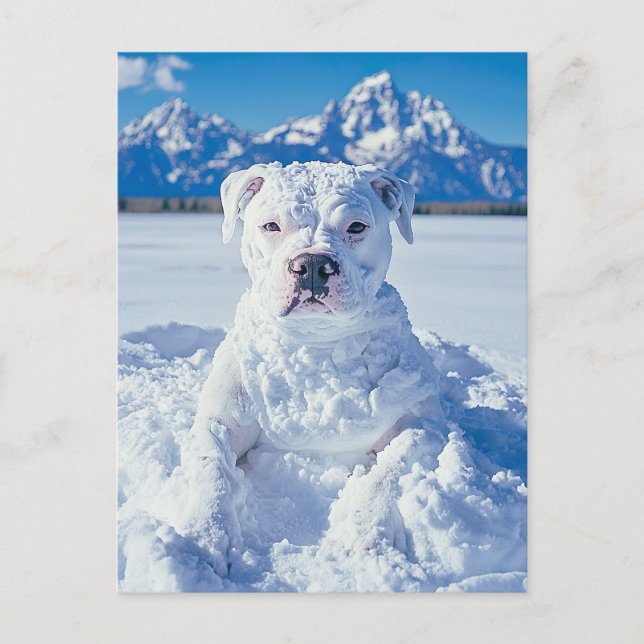 Postal Navidades Pitbull Dog Snowman (Anverso)