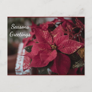Postal Navidades Poinsettia Seasons Greetings