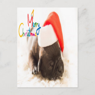 Postal Navidades Pug