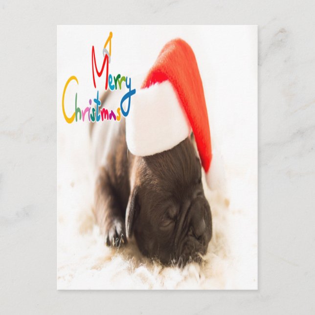 Postal Navidades Pug (Anverso)