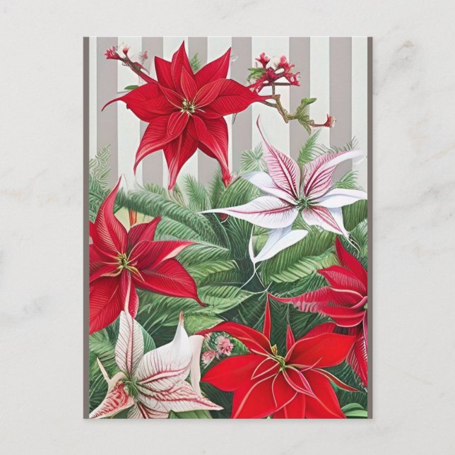 Postal Navidades Red Amaryllis y Poinsettias (Anverso)