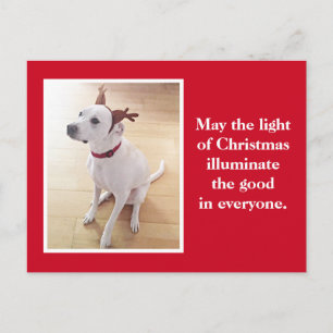 Postal Navidades rojos de perro con cachorro de reno