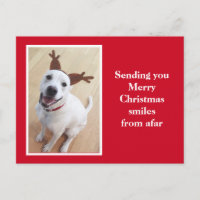 Navidades rojos de perro con cachorro de reno sonr