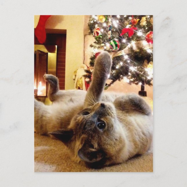Postal Navidades saludando por Bubbles el gato (Anverso)