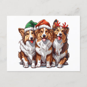 Postal Navidades Shetland Sheepdogs