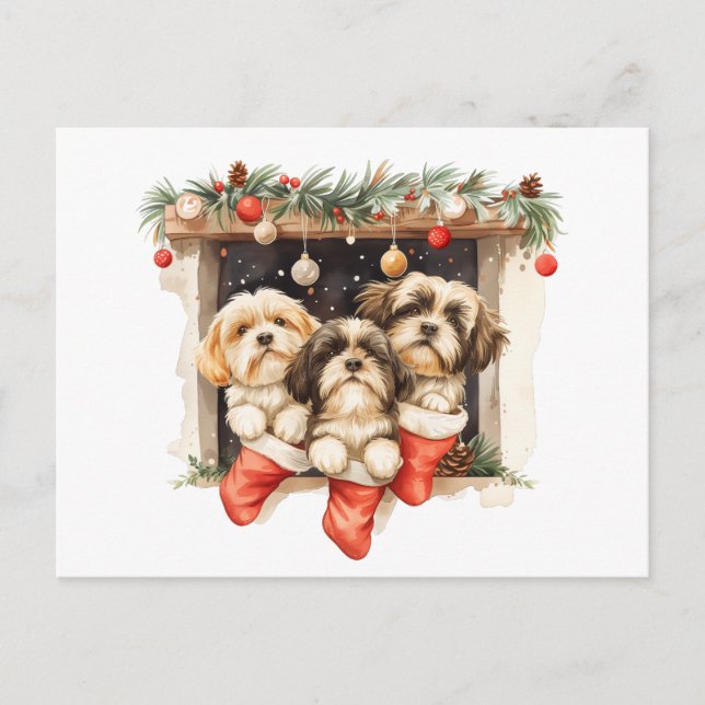 Postal Navidades Shih Tzu Dogs (Anverso)