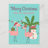 Navidades tropicales roban flamencos en Verde azul