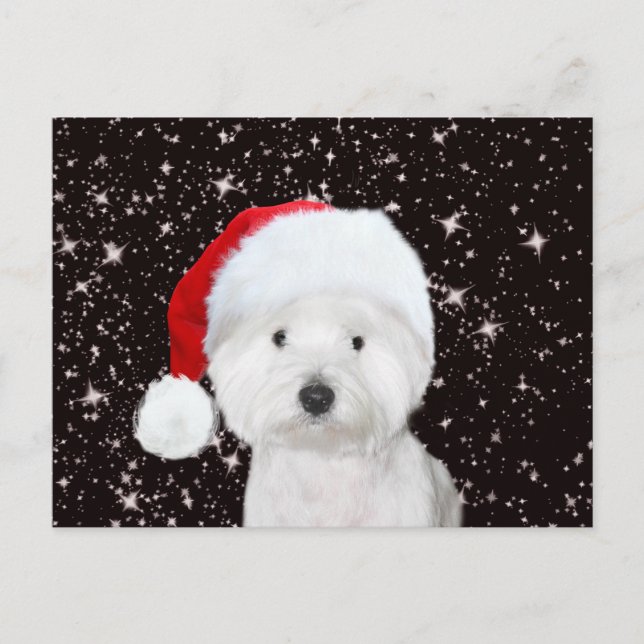 Postal Navidades Westie (Anverso)