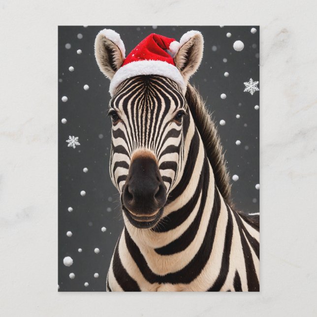 Postal Navidades Zebra (Anverso)