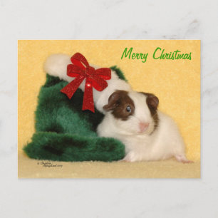 Postal navideña Baby Guinea Pie Merry
