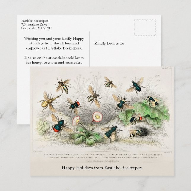Postal navideña de bebes de miel (Anverso / Reverso)