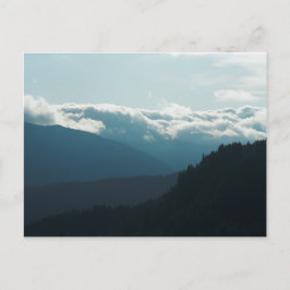 Postal Near Falls Creek Falls Postcard de Washington