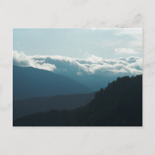 Postal Near Falls Creek Falls Postcard de Washington