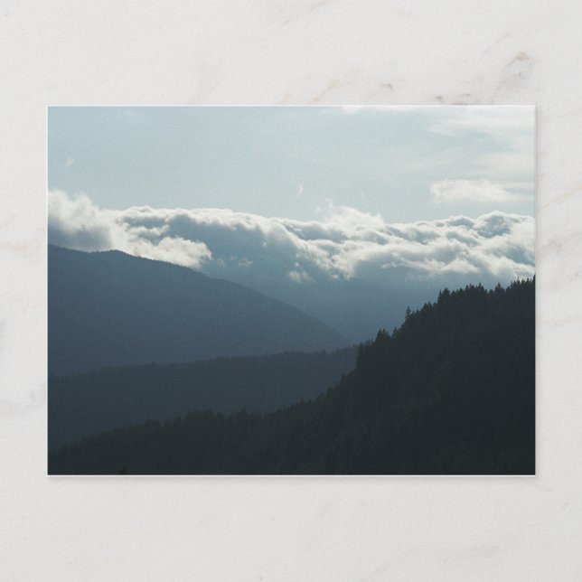 Postal Near Falls Creek Falls Postcard de Washington (Anverso)