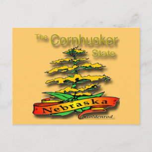 Postal Nebraska Cornhusker State Goldenrod