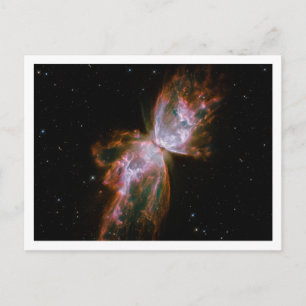 Postal Nebulosa Mariposa Borde Blanco
