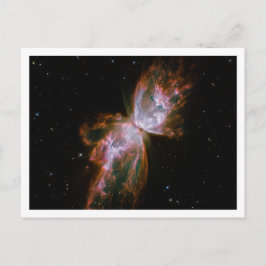 Postal Nebulosa Mariposa Borde Blanco