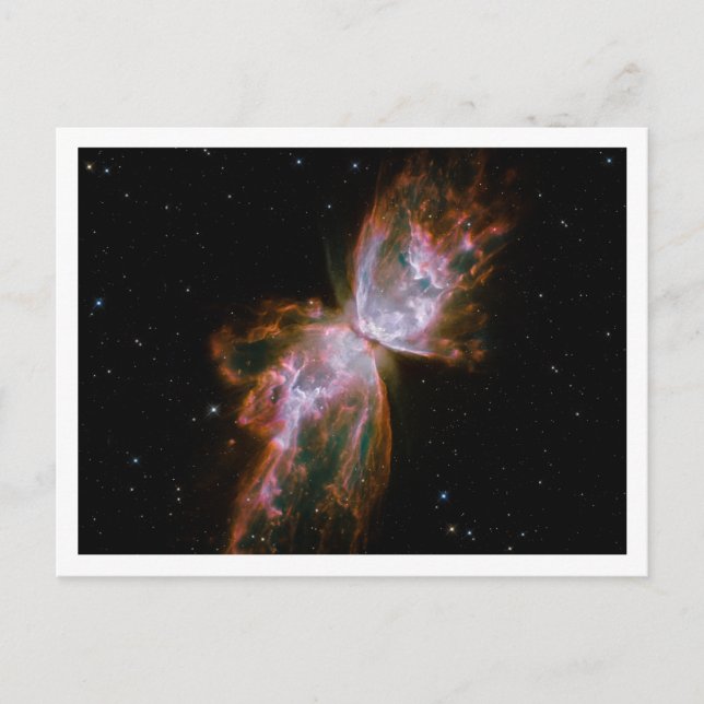 Postal Nebulosa Mariposa Borde Blanco (Anverso)