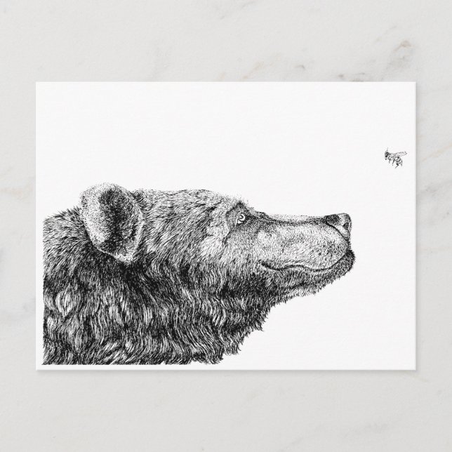 Postal Necesidades del oso por Inkspot (Anverso)
