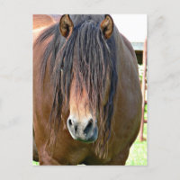 Necesita un corte de pelo