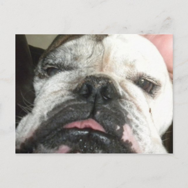 Postal Necesito dejar de beber. (Anverso)