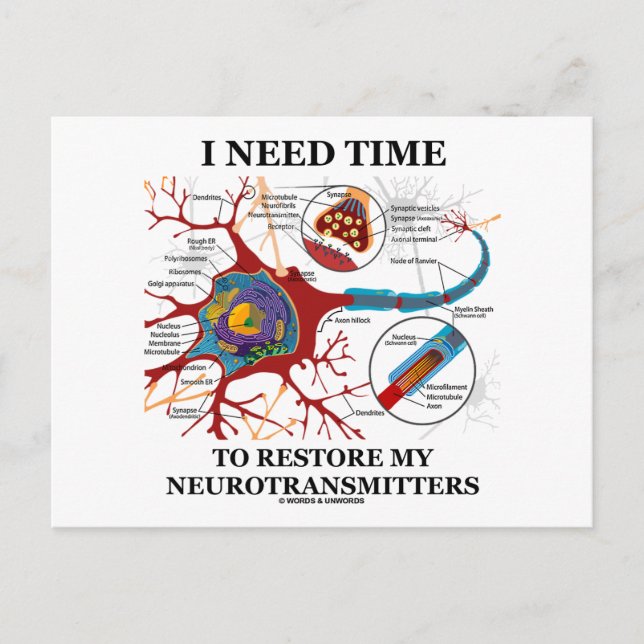 Postal Necesito Tiempo Para Restablecer Mis Neurotransmis (Anverso)