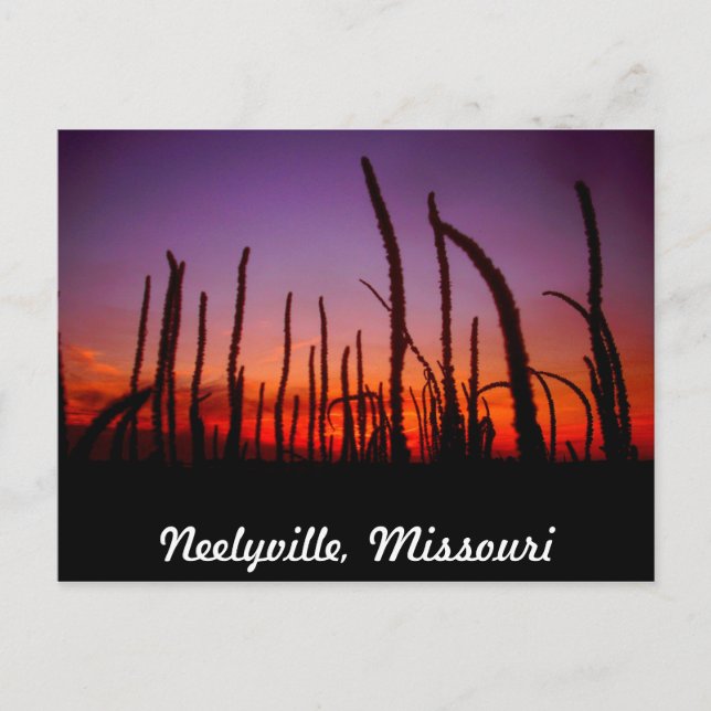 Postal Neelyville Missouri (Anverso)