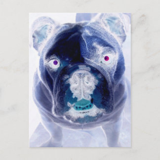 Postal negativa del bulldog