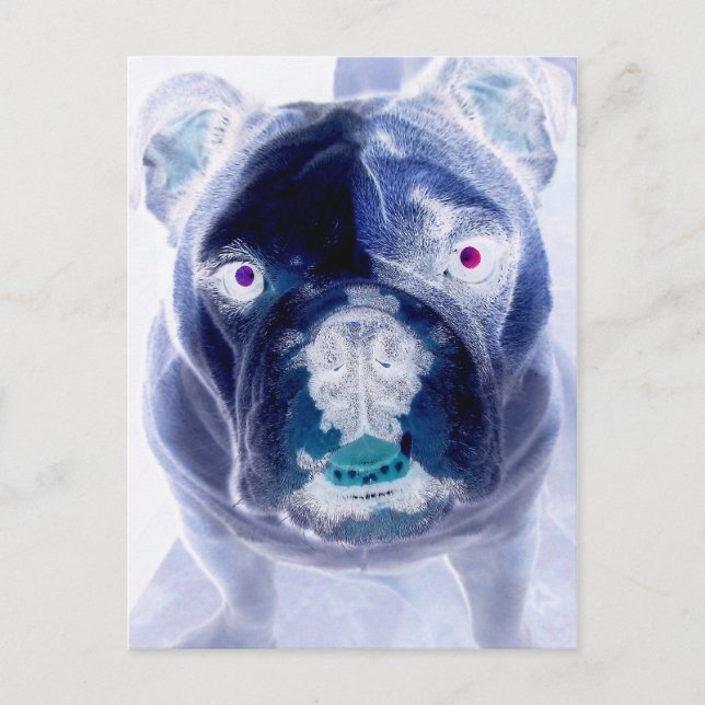 Postal negativa del bulldog (Anverso)