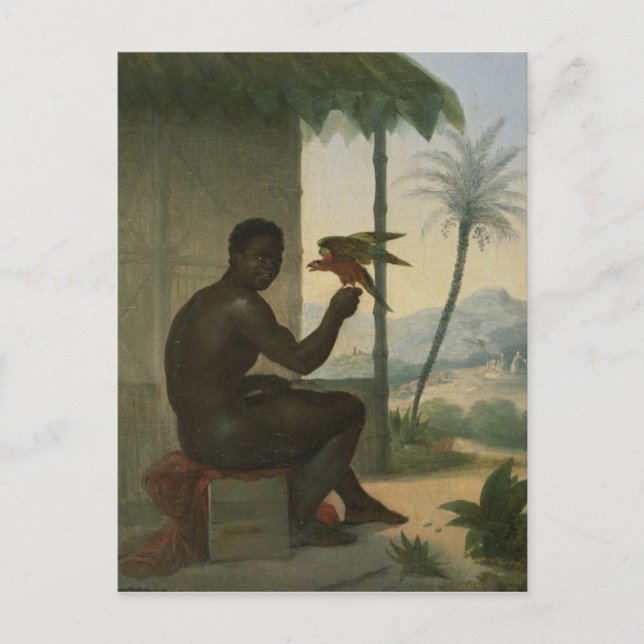 Postal Negro brasileño con pájaro tropical (Anverso)