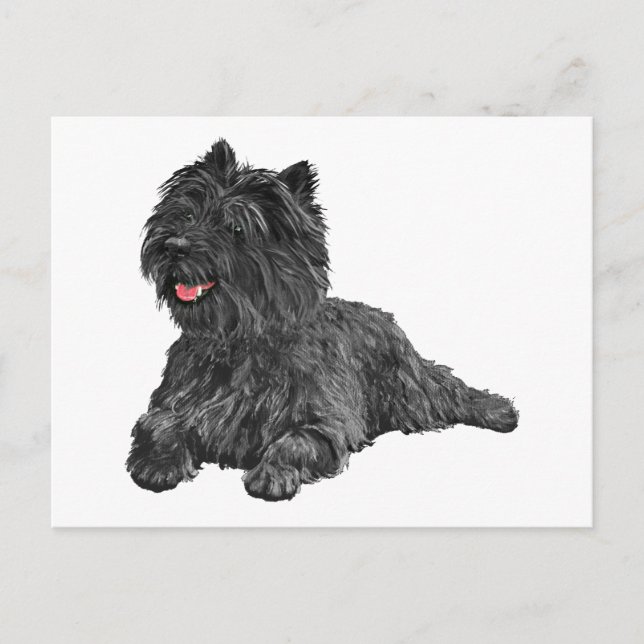 Postal Negro Cairn Terrier (Anverso)