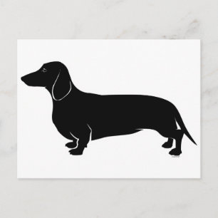 Postal Negro sobre Dachsund blanco