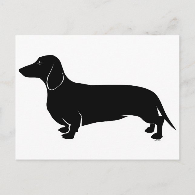 Postal Negro sobre Dachsund blanco (Anverso)