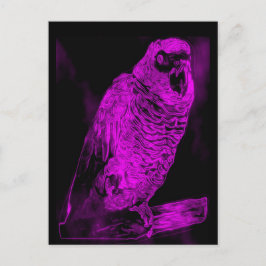 Postal Neon Parrot