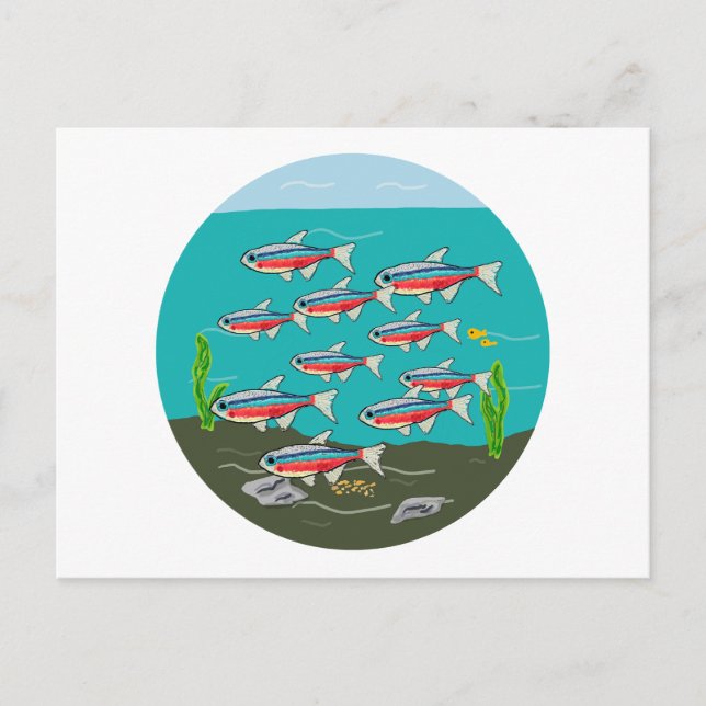 Postal Neon Tetra (Anverso)