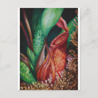 Postal Nepenthes De Borneo WatercolorArt