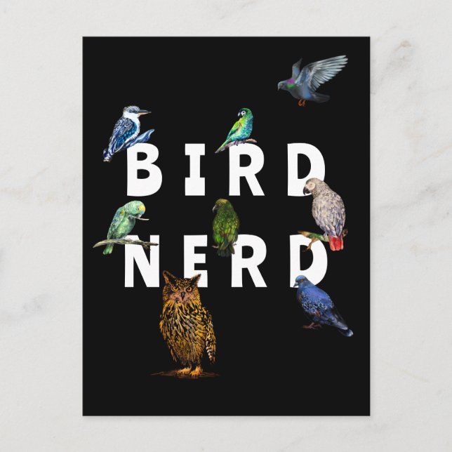 Postal NERD DE PÁJAROS, loros, búho, palomas, kookaburra (Anverso)