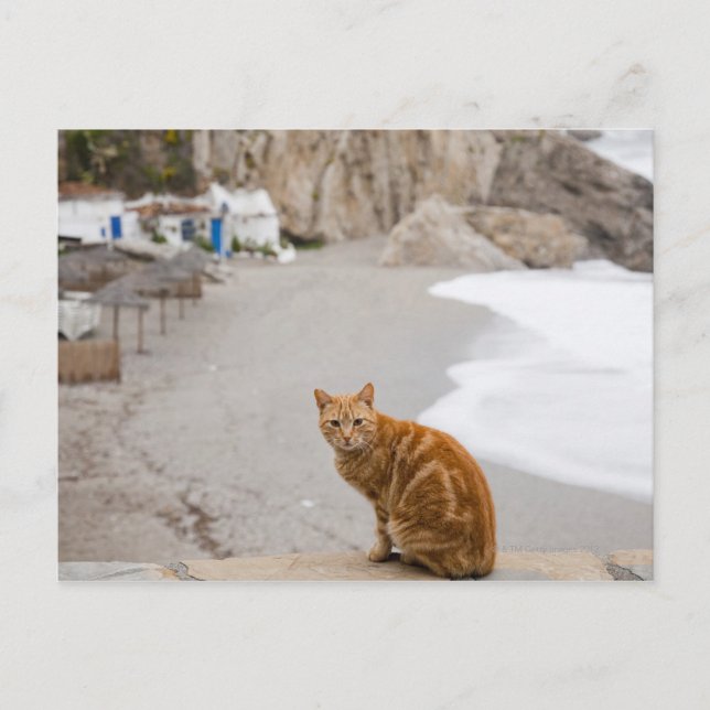 Postal nerja malaga andalusia spain (Anverso)