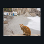 Postal nerja malaga andalusia spain<br><div class="desc">Animals->Cat</div>