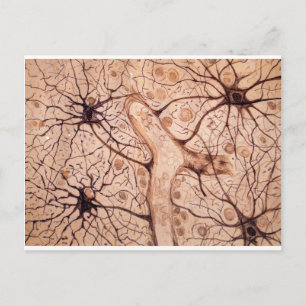 Postal Neuronas de Cajal 3