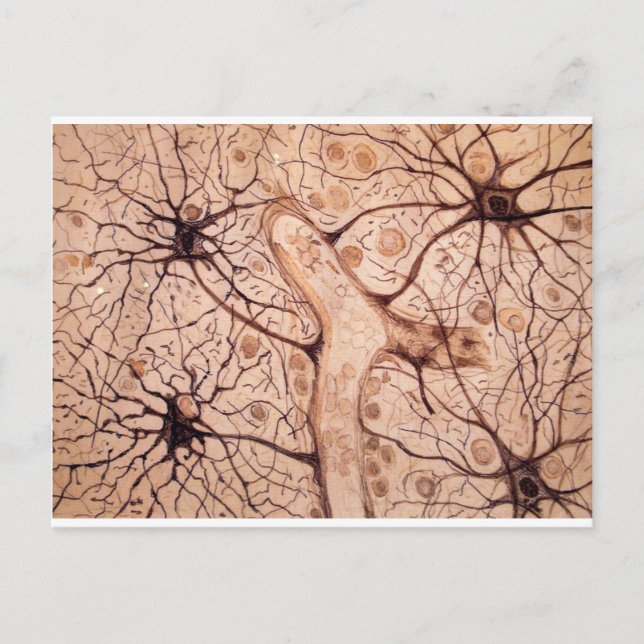 Postal Neuronas de Cajal 3 (Anverso)
