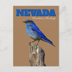 Postal Nevada Bluebird Vertical