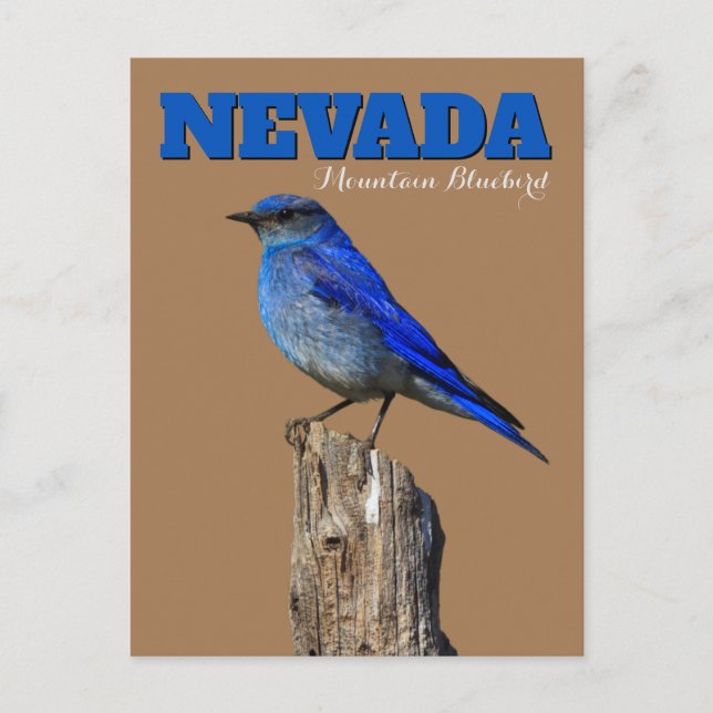 Postal Nevada Bluebird Vertical (Anverso)