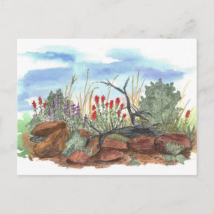Postal Nevada Desert Indian Paintcepillo Watercolor