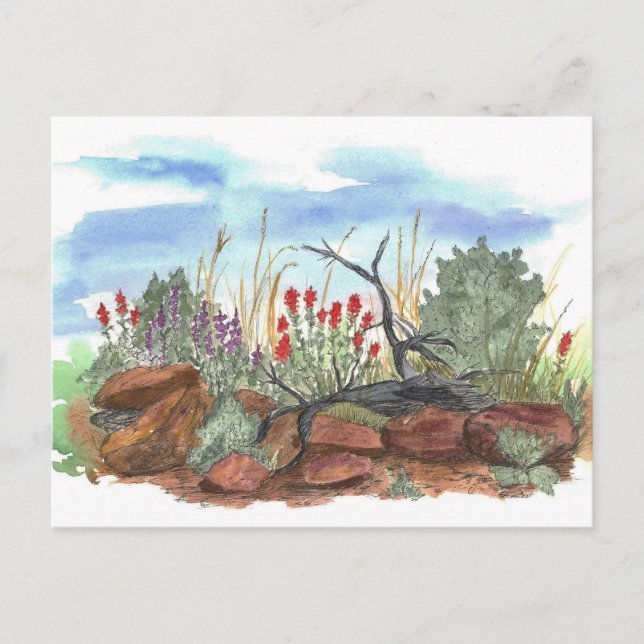 Postal Nevada Desert Indian Paintcepillo Watercolor (Anverso)
