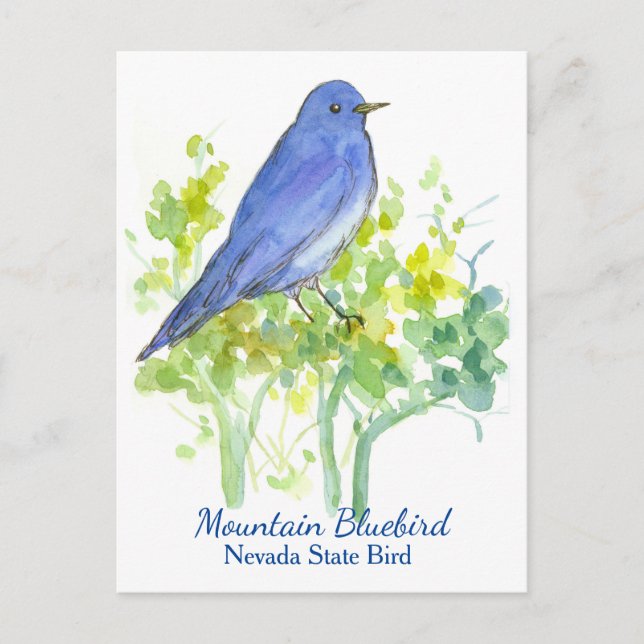 Postal Nevada State Bird (Anverso)