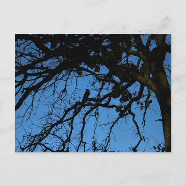 Postal Nevermore (Anverso)