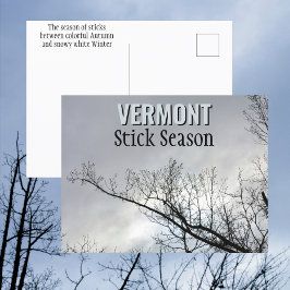 Postal New England Stick Season Vermont Photographic