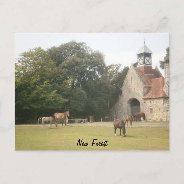 Postal New Forest Hampshire (Anverso)